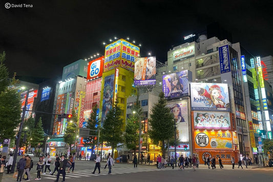 comprar figuras en japon