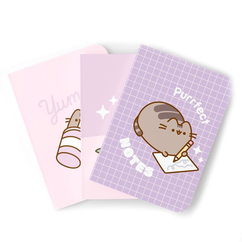 Set 3 cuadernos A5 Moments Pusheen ERIK