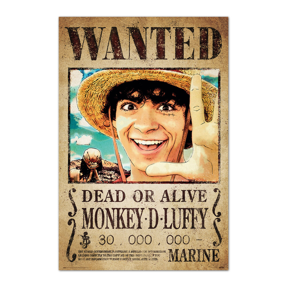 Poster Se Busca Monkey D. Luffy One Piece GRUPO ERIK