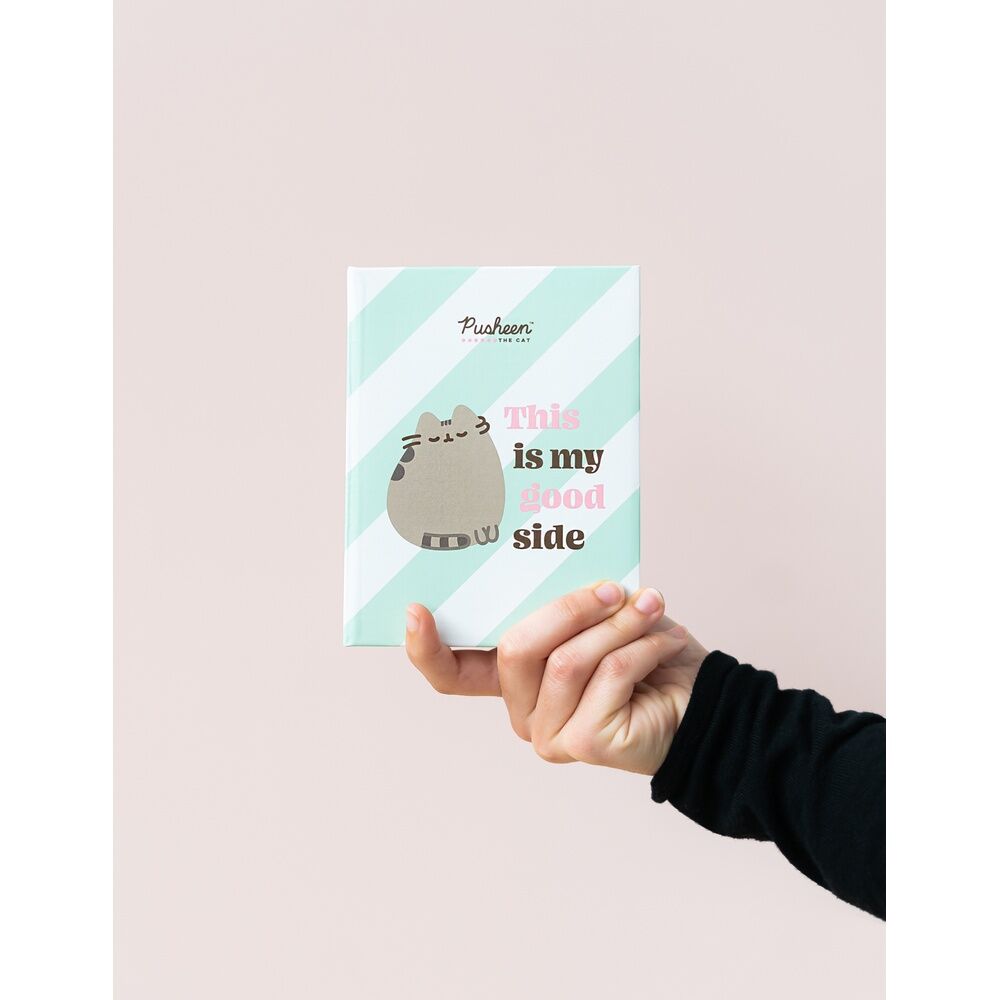 Album de Fotos Pusheen   ERIK