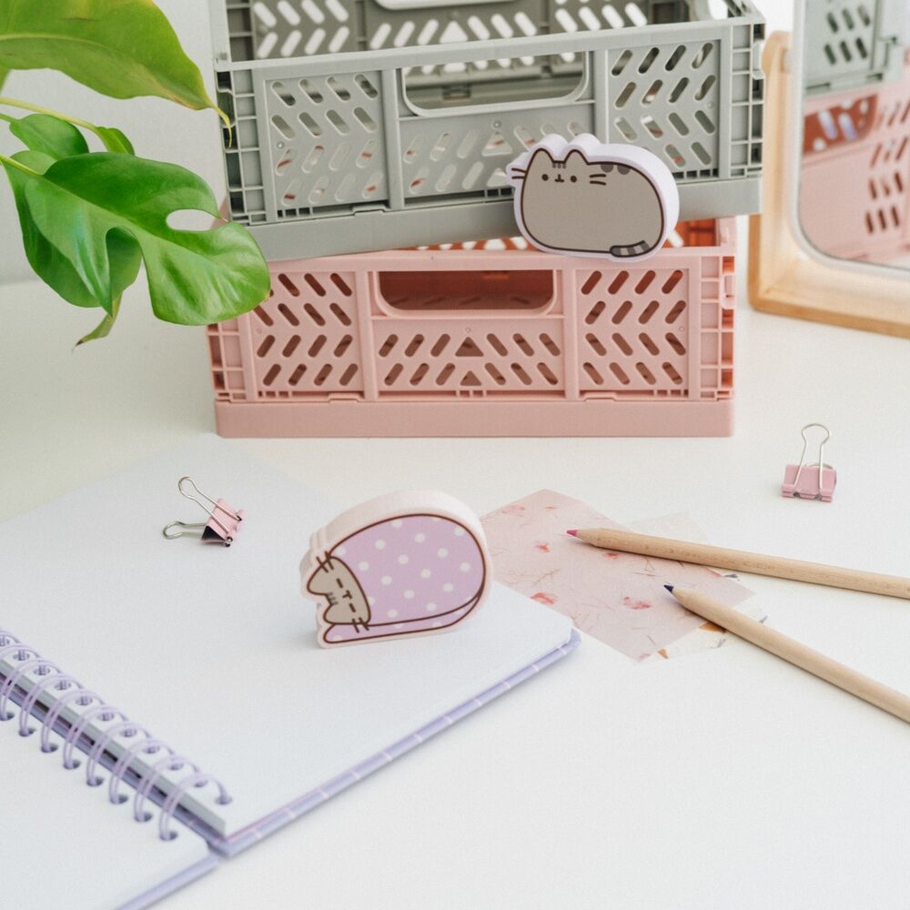 Blister 2 gomas borrar Pusheen   ERIK