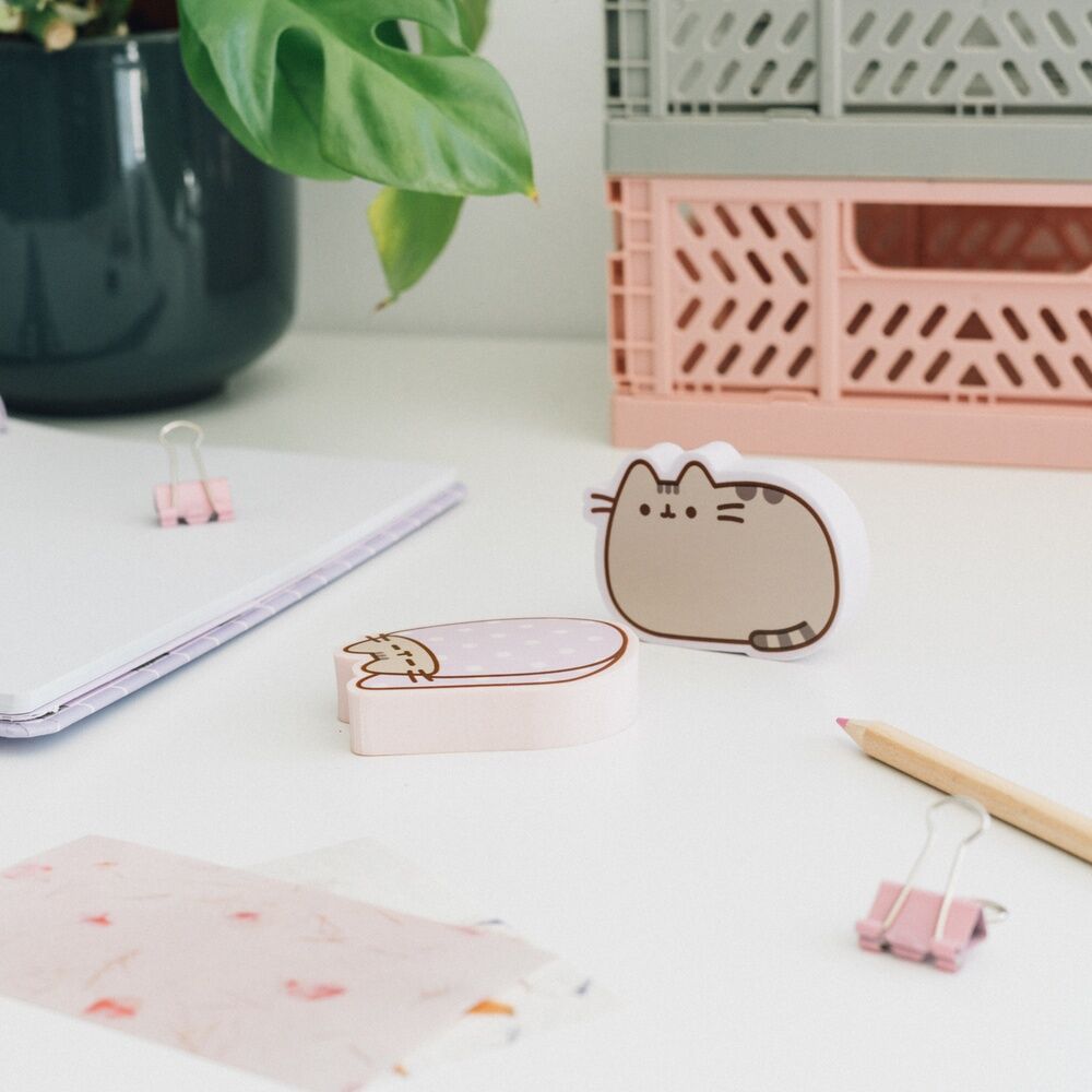Blister 2 gomas borrar Pusheen   ERIK