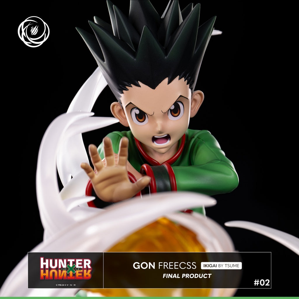 Figura Gon Freecss Hunter x Hunter Ikigai Tsume 1/6   Tsume