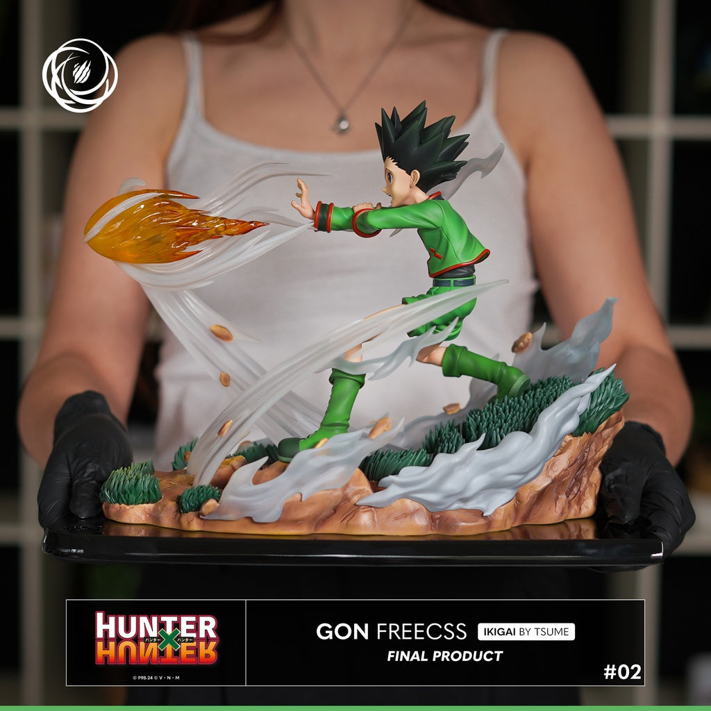 Figura Gon Freecss Hunter x Hunter Ikigai Tsume 1/6   Tsume