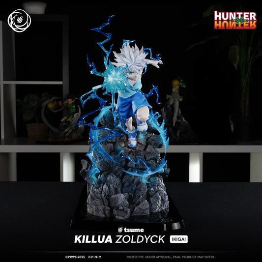 Figura Killua Zoldyck Hunter x Hunter Ikigai Tsume 1/6  
