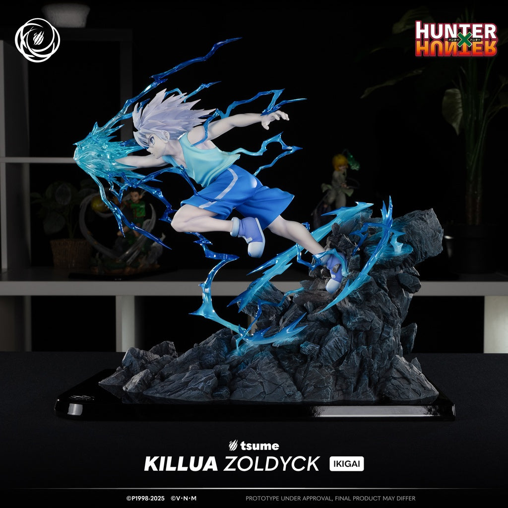 Figura Killua Zoldyck Hunter x Hunter Ikigai Tsume 1/6   Tsume