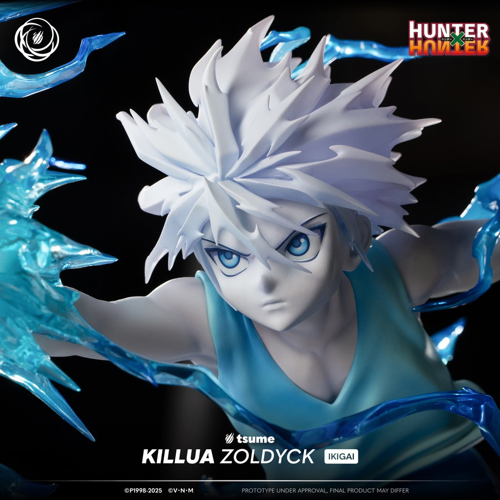 Figura Killua Zoldyck Hunter x Hunter Ikigai Tsume 1/6   Tsume
