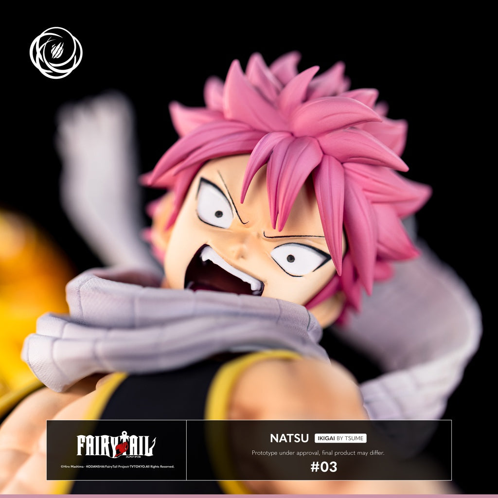 Figura Natsu Fairytail Ikigai Tsume 1/6  