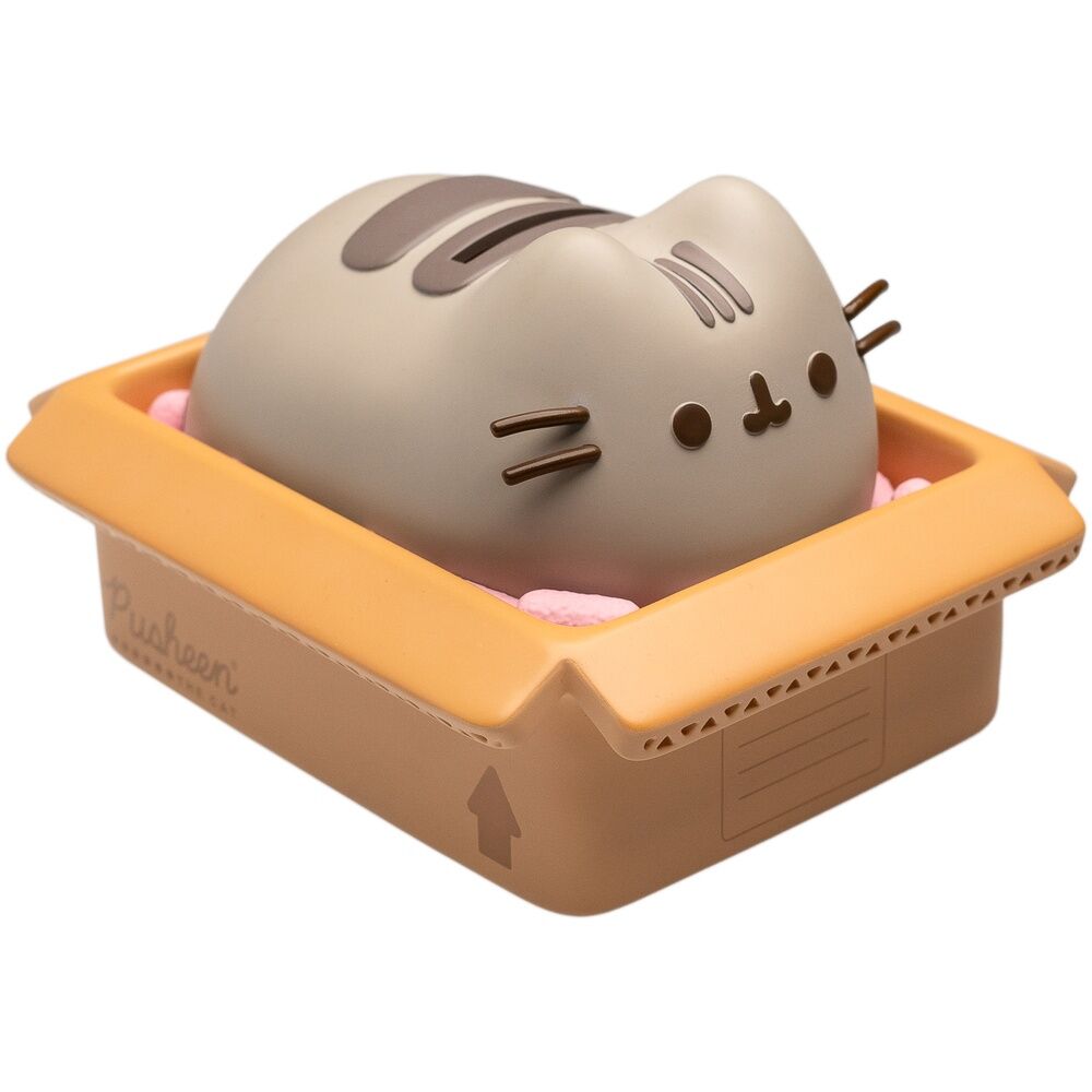 Hucha Pusheen   ERIK