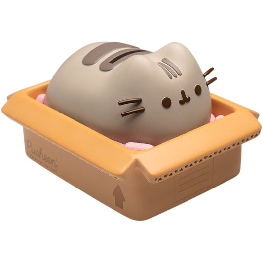 Hucha Pusheen  