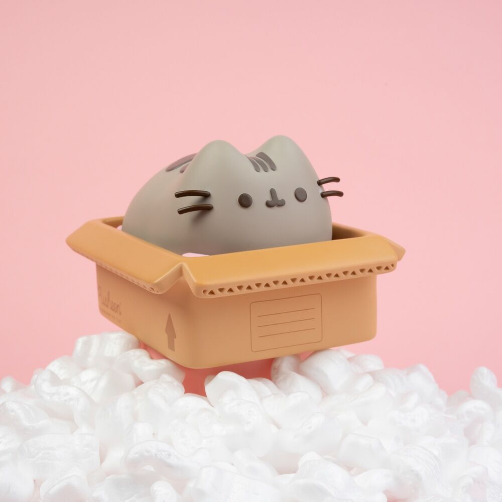 Hucha Pusheen   ERIK