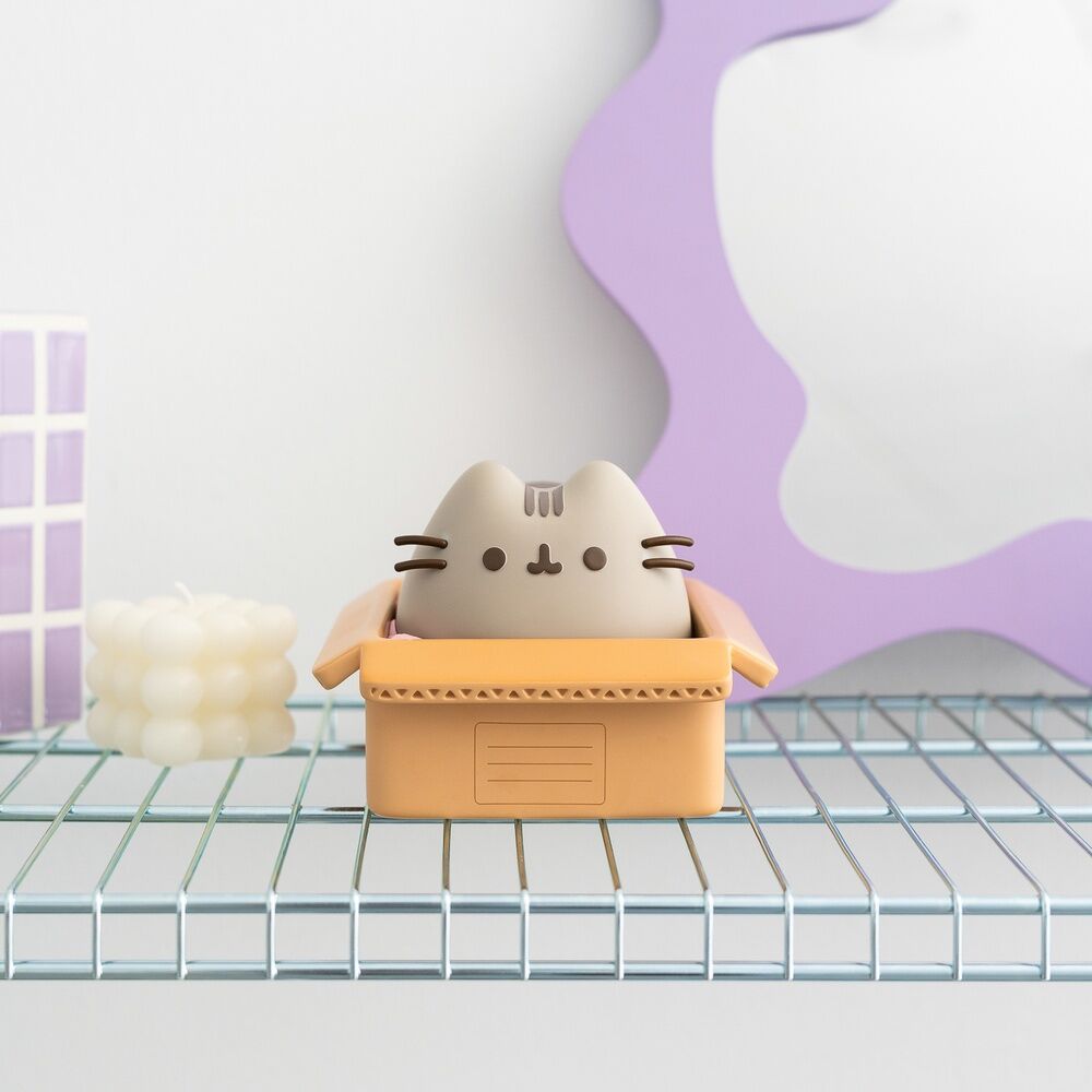 Hucha Pusheen   ERIK