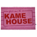 KAME HOUSE 60X40 FELPUDO DRAGON BALL   SD TOYS