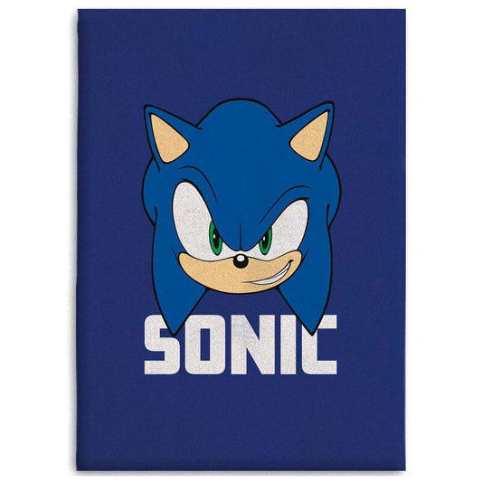 Manta polar Sonic The Hedgehog   SEGA