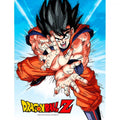 Poster cristal Goku Kame Dragon Ball Z   SD TOYS