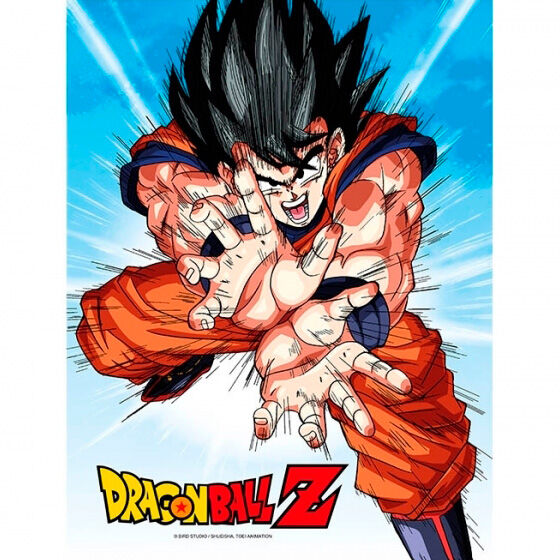 Poster cristal Goku Kame Dragon Ball Z   SD TOYS