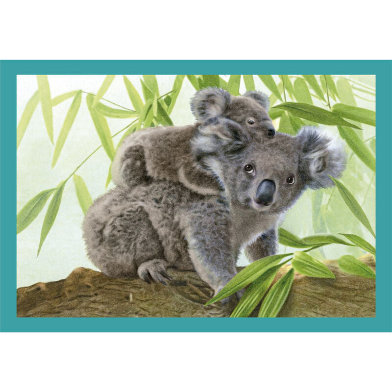 Puzzle Noli Baby Cuddles 12-16-20-24pzs   CLEMENTONI