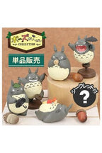 TOTORO SURTIDO 6 FIGURAS MY NEIGHBOR TOTORO POSE COLLECTION   Benelic