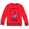 Sudadera Kakashi Naruto infantil   PIERROT
