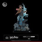 Harry Potter Ikigai 1/6 Tsume   Tsume