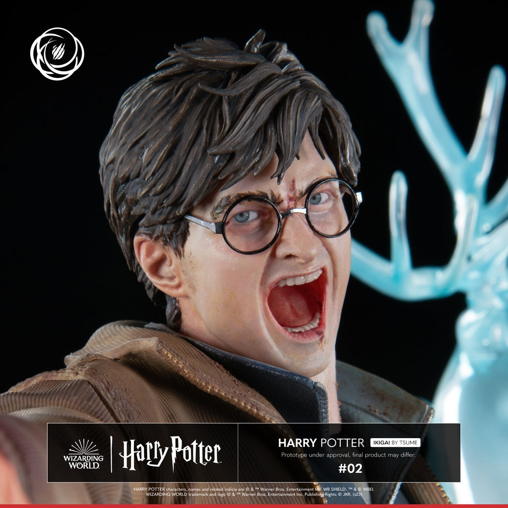 Harry Potter Ikigai 1/6 Tsume