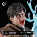 Harry Potter Ikigai 1/6 Tsume   Tsume
