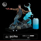 Harry Potter Ikigai 1/6 Tsume   Tsume