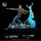 Harry Potter Ikigai 1/6 Tsume   Tsume