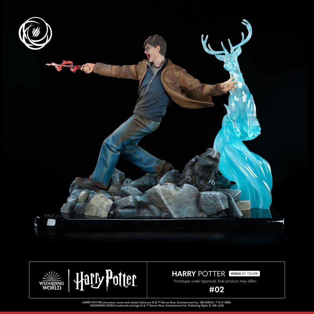 Harry Potter Ikigai 1/6 Tsume