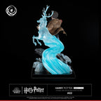 Harry Potter Ikigai 1/6 Tsume   Tsume