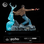 Harry Potter Ikigai 1/6 Tsume   Tsume