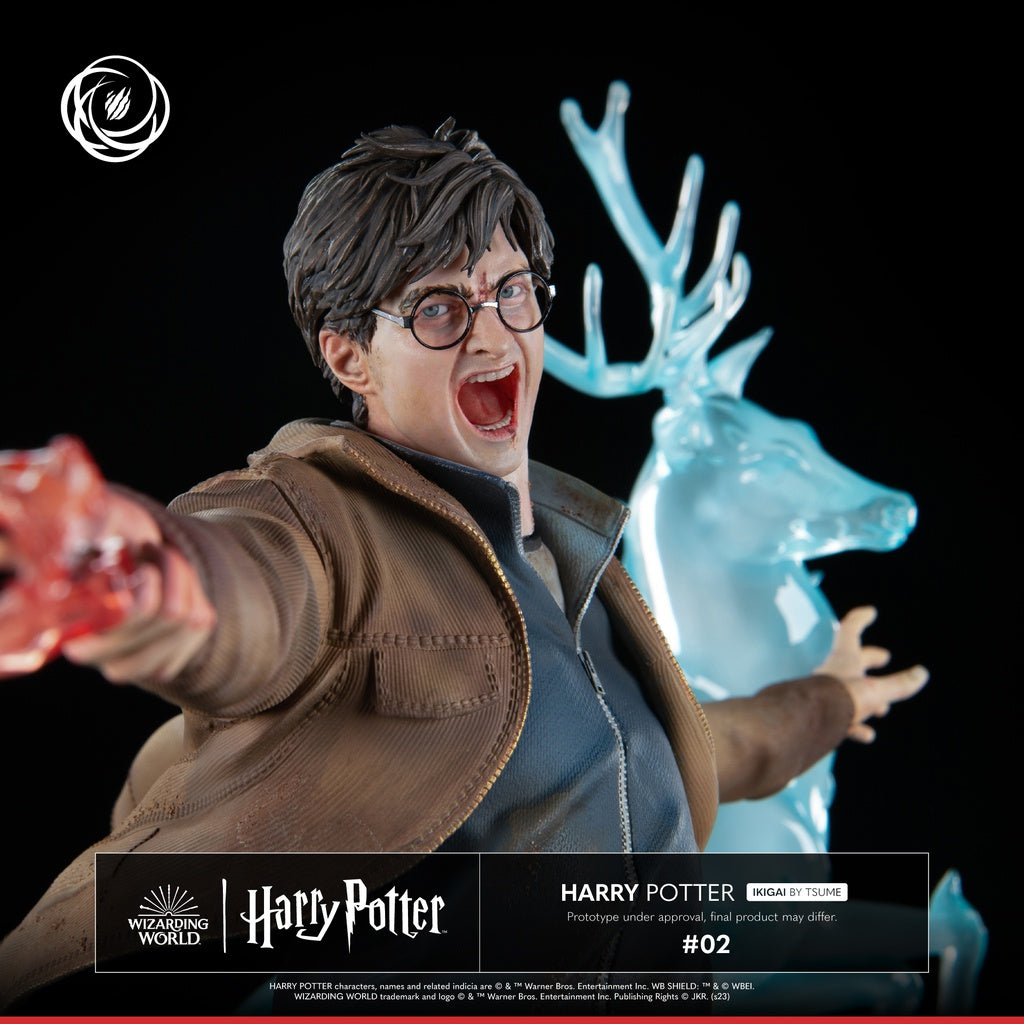 Harry Potter Ikigai 1/6 Tsume