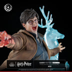 Harry Potter Ikigai 1/6 Tsume   Tsume