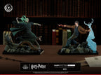 Harry Potter Ikigai 1/6 Tsume   Tsume