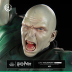 Lord Voldemort Harry Potter Ikigai 1/6 Tsume   Tsume